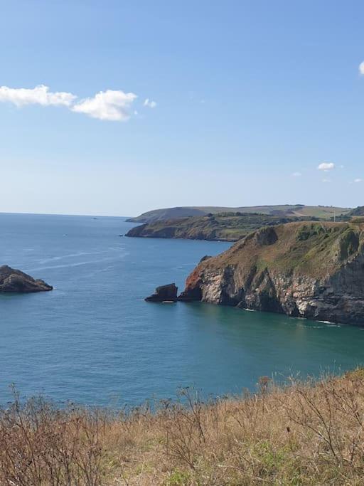 Rosedale A Charming Detached 4 Bedroom Cottage. Brixham Exterior foto